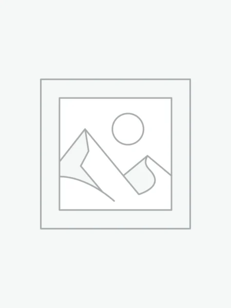 Rug #1-Handmade Persian Baluch Tribal Wool Rug